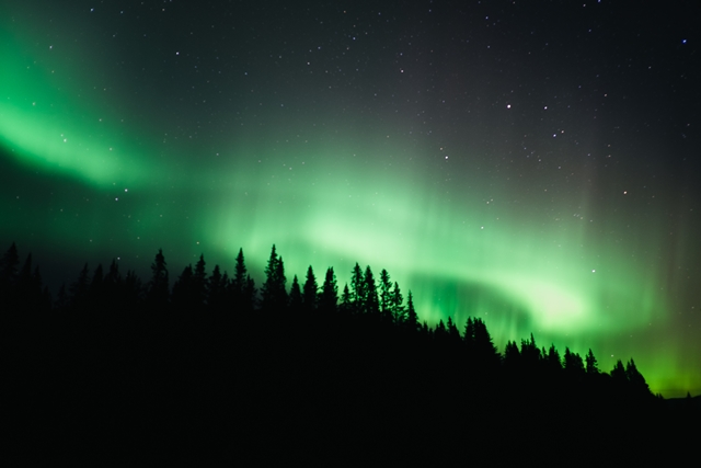 Northern Light Adventure
